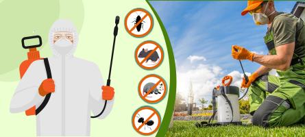 emergency pest control frankston
